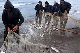 ظرفیت تولید ۷۵ هزار و ۵۰۰ تن ماهی در استان گیلان