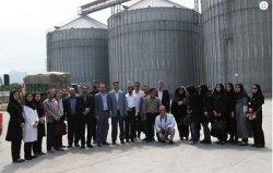 روزانه 400تن تولید آرد در کارخانه آرد ساحل قو سلمانشهر
