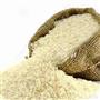 سالانه 42 درصد نیازكشور برنج سفید در مازندران تولید می شود