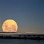 مشاهده دوابرماه همراه با یک ماه آبی درماه اوت تماشائی است